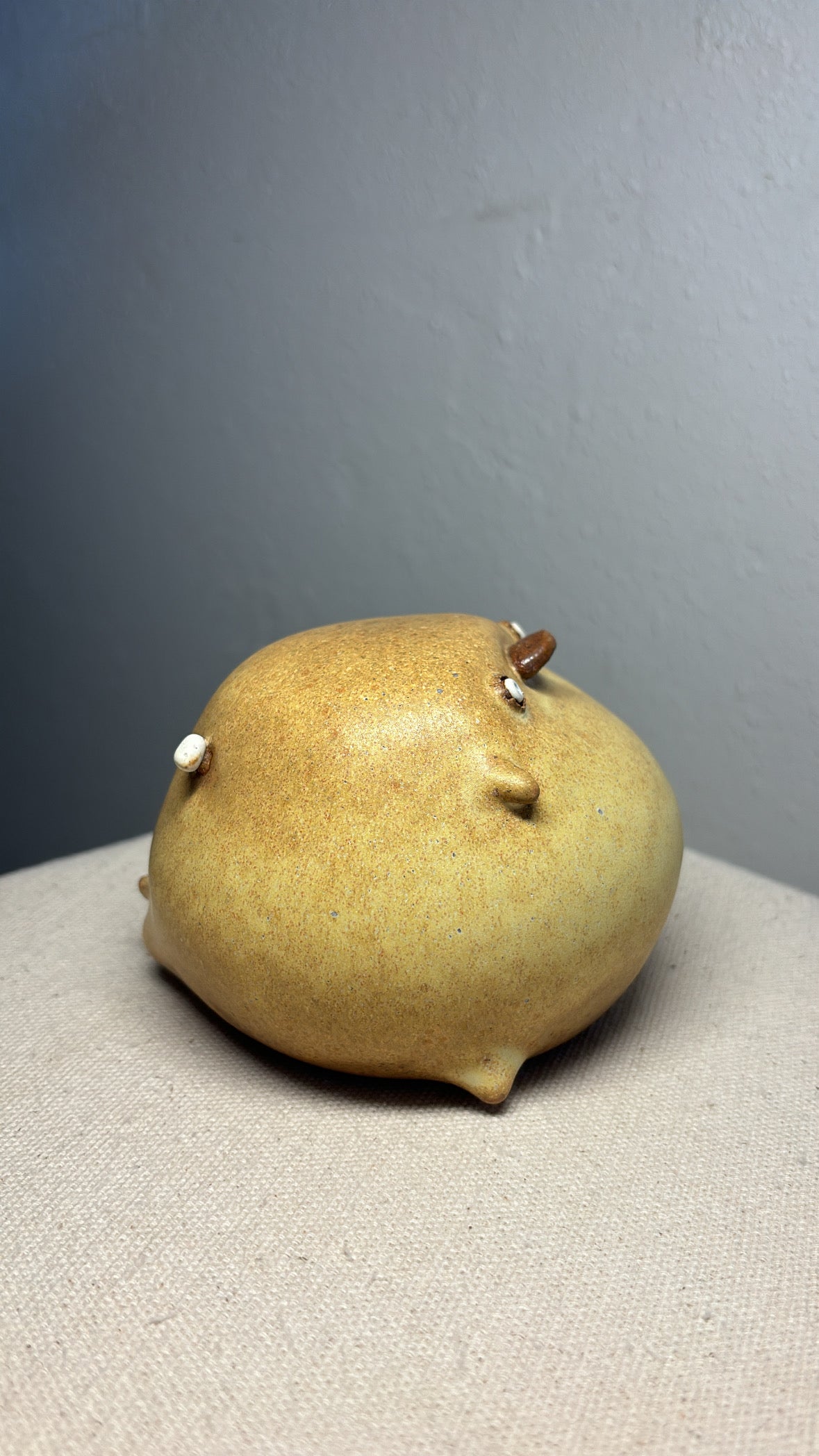 Taco