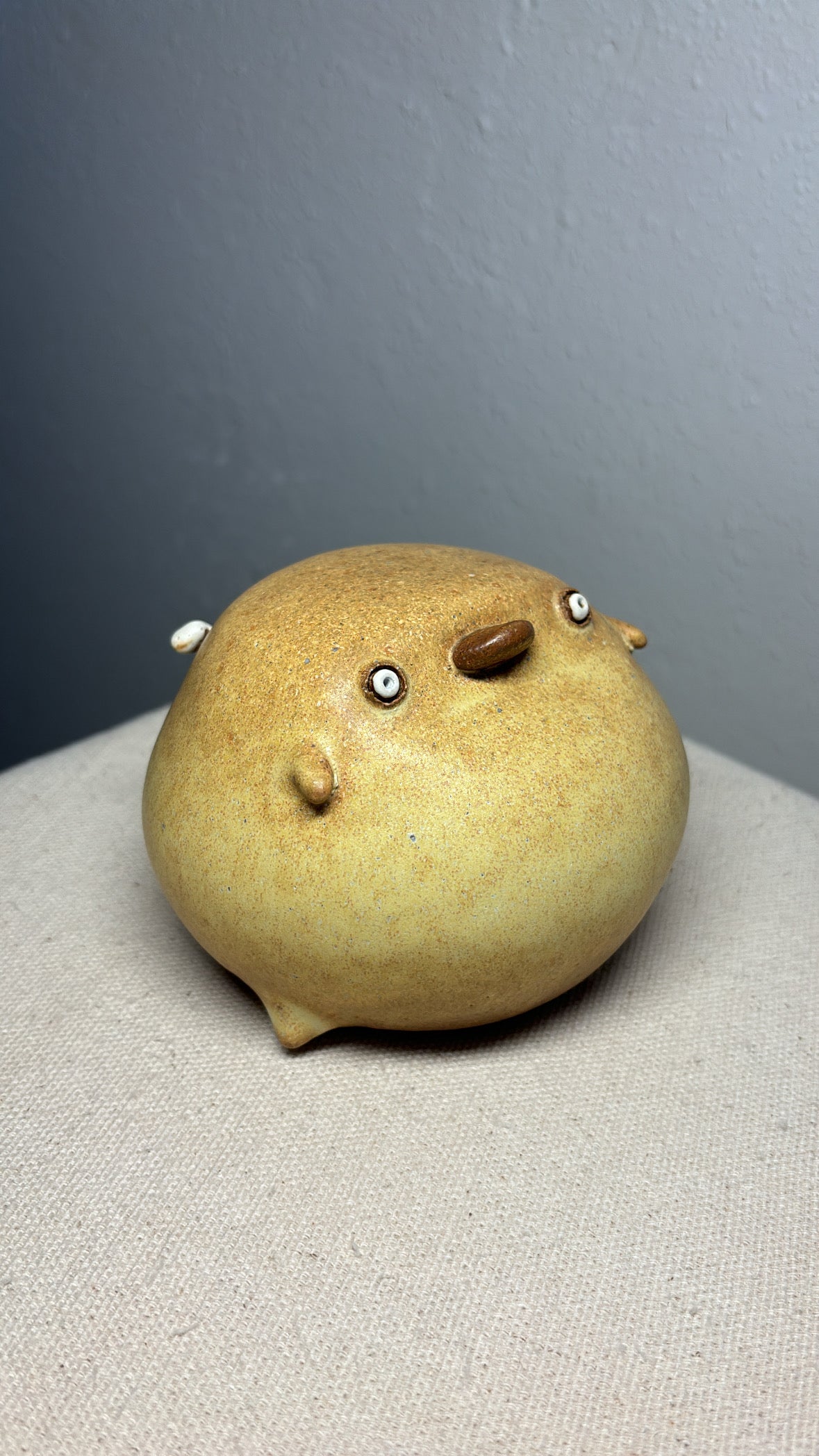 Taco