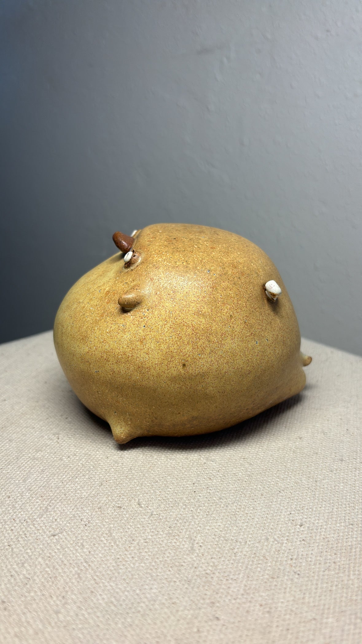 Taco