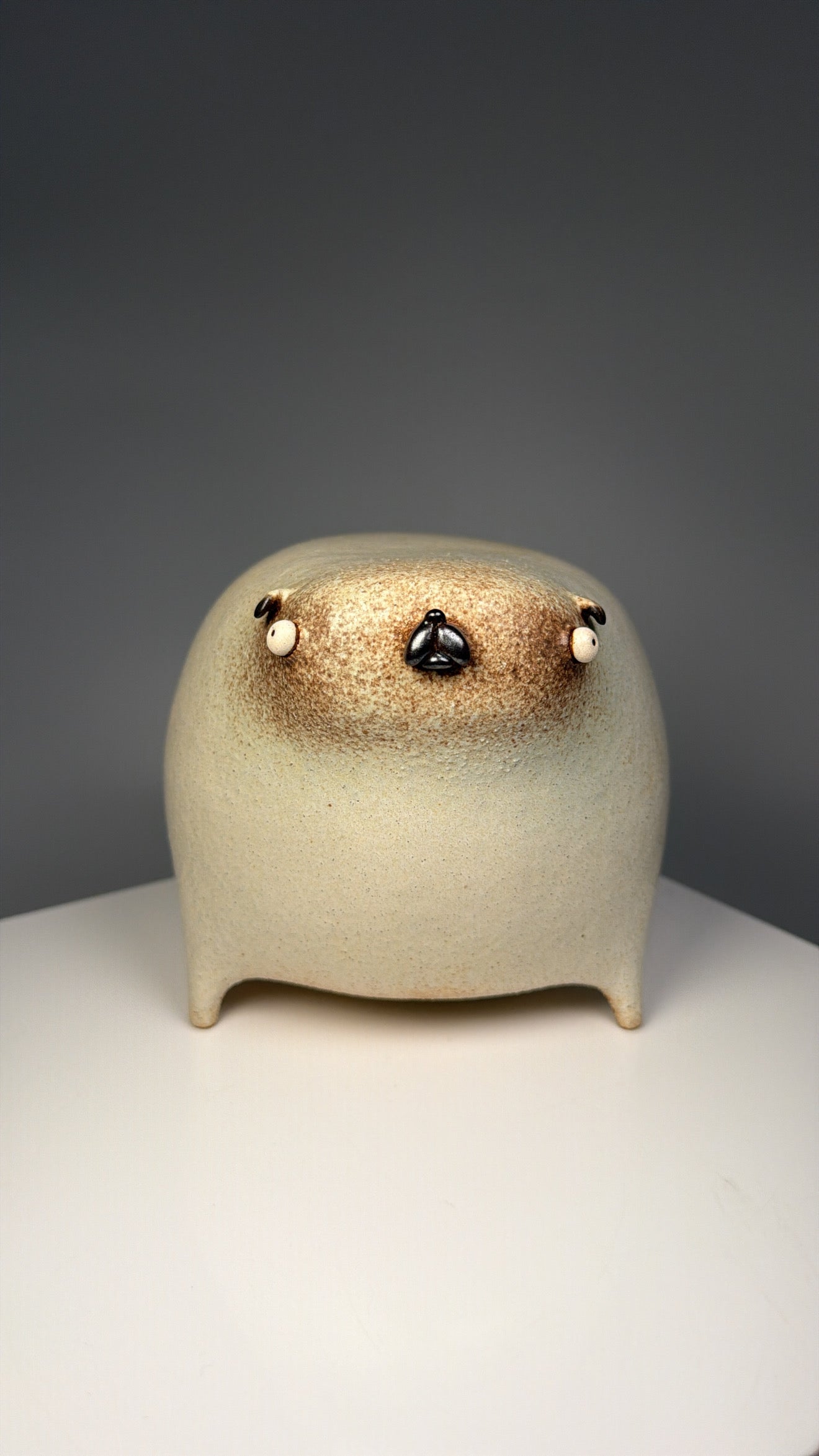 Mr.pugs