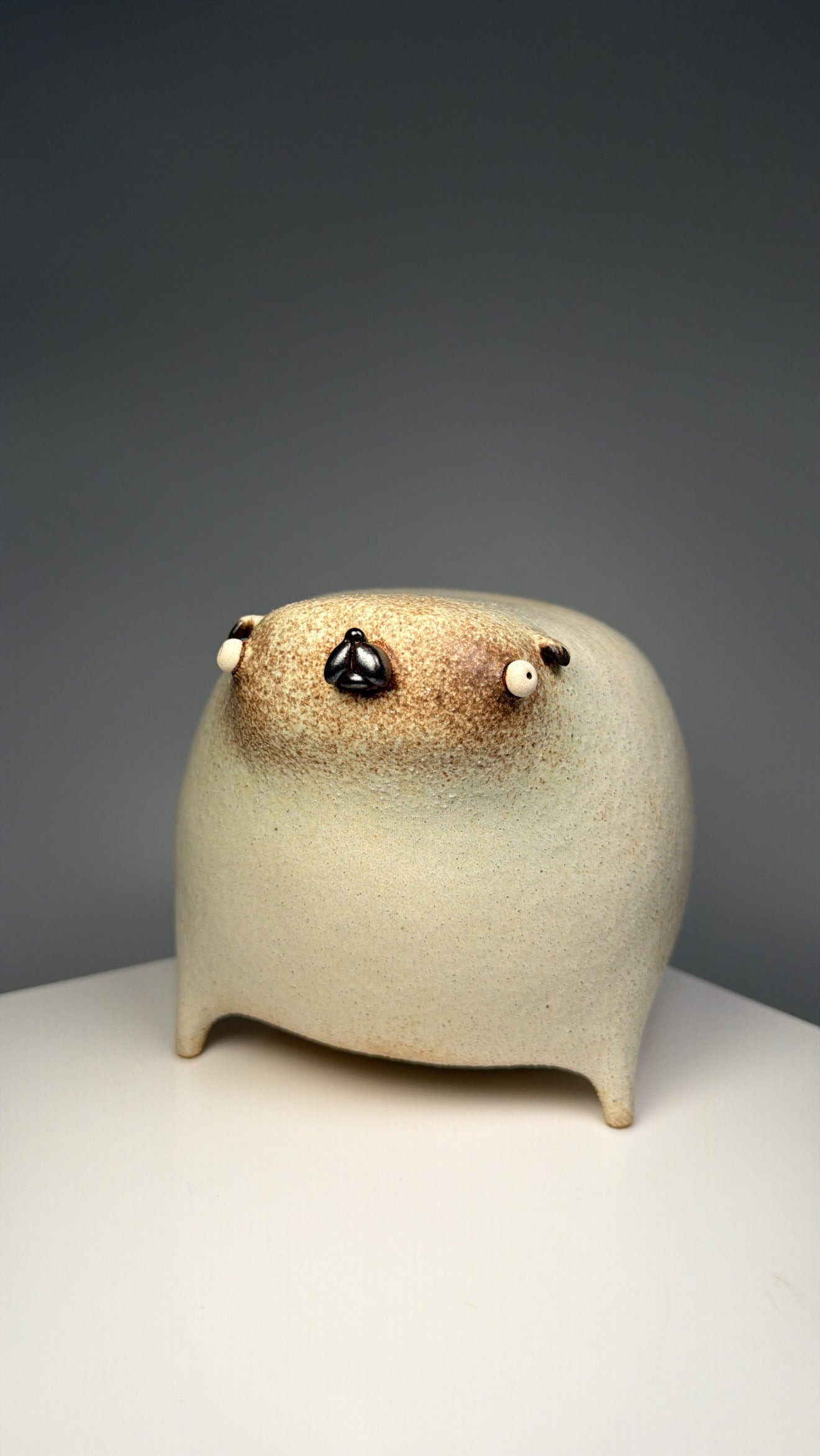 Mr.pugs