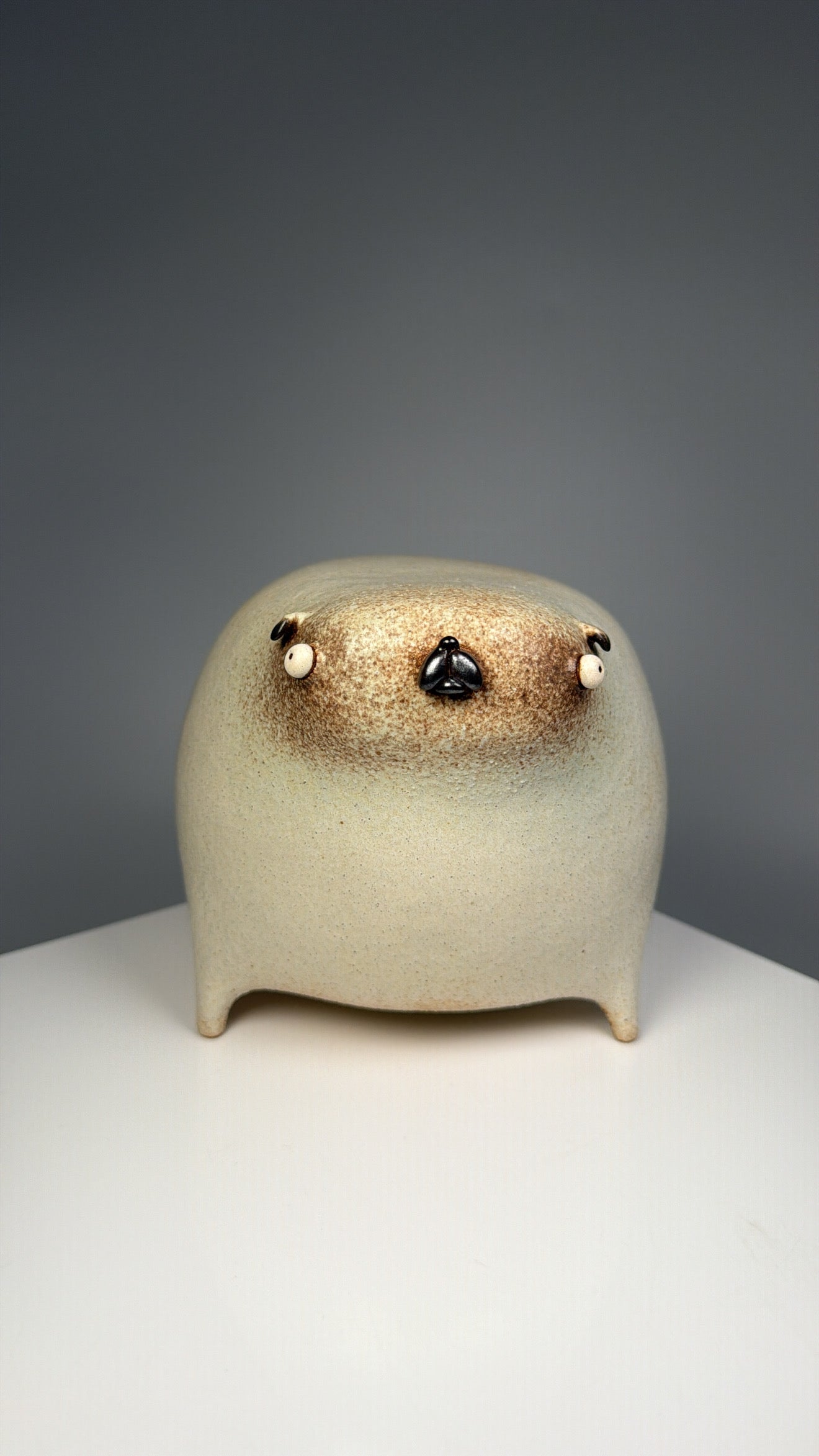 Mr.pugs