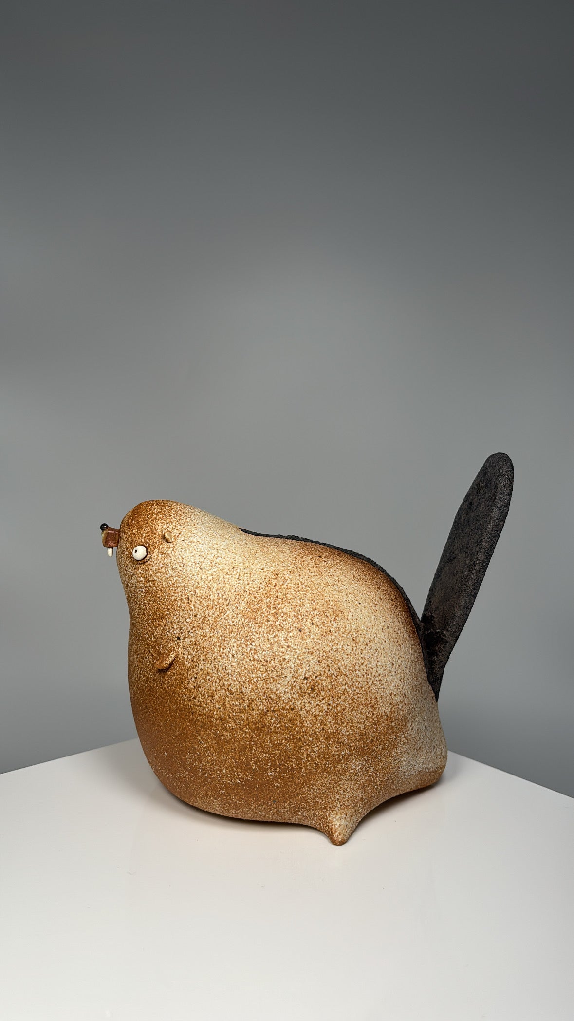 Mr.cheeks