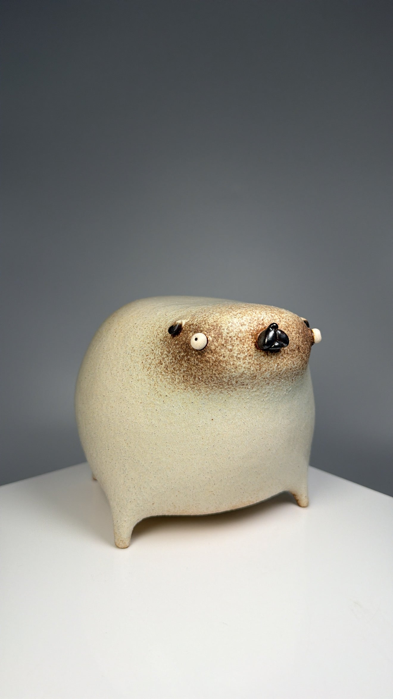 Mr.pugs