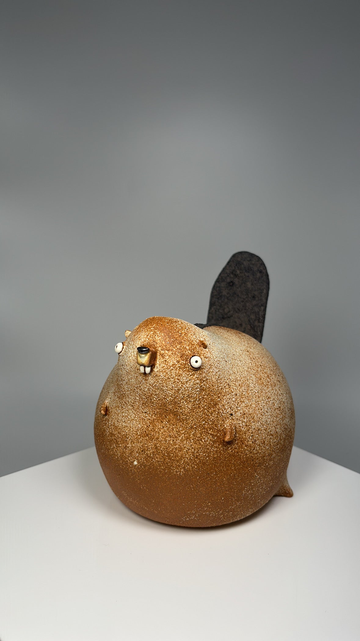 Mr.cheeks