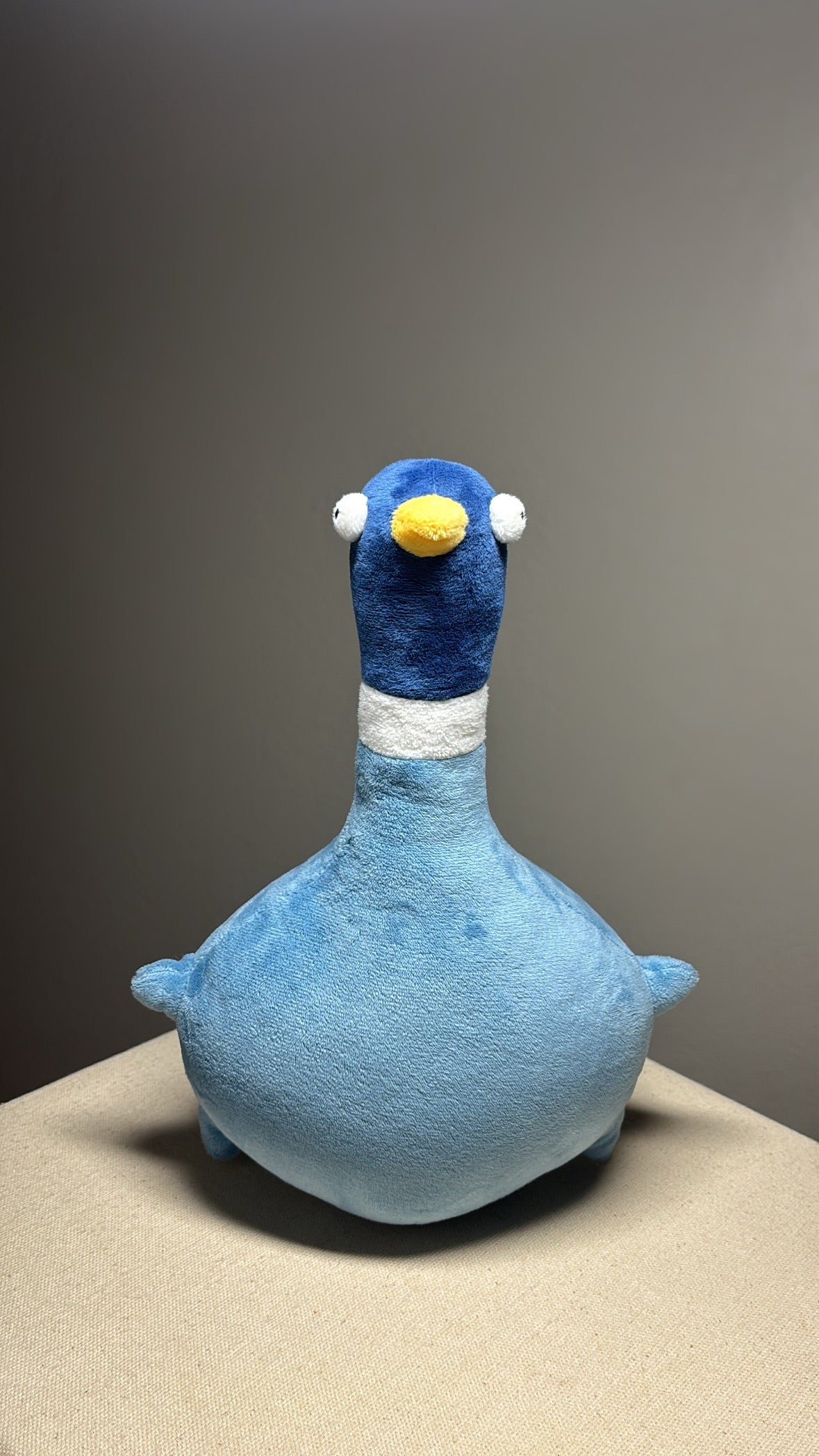 Chubby Loaf Pigeon Plushie (RESTOCK COMING SOON)